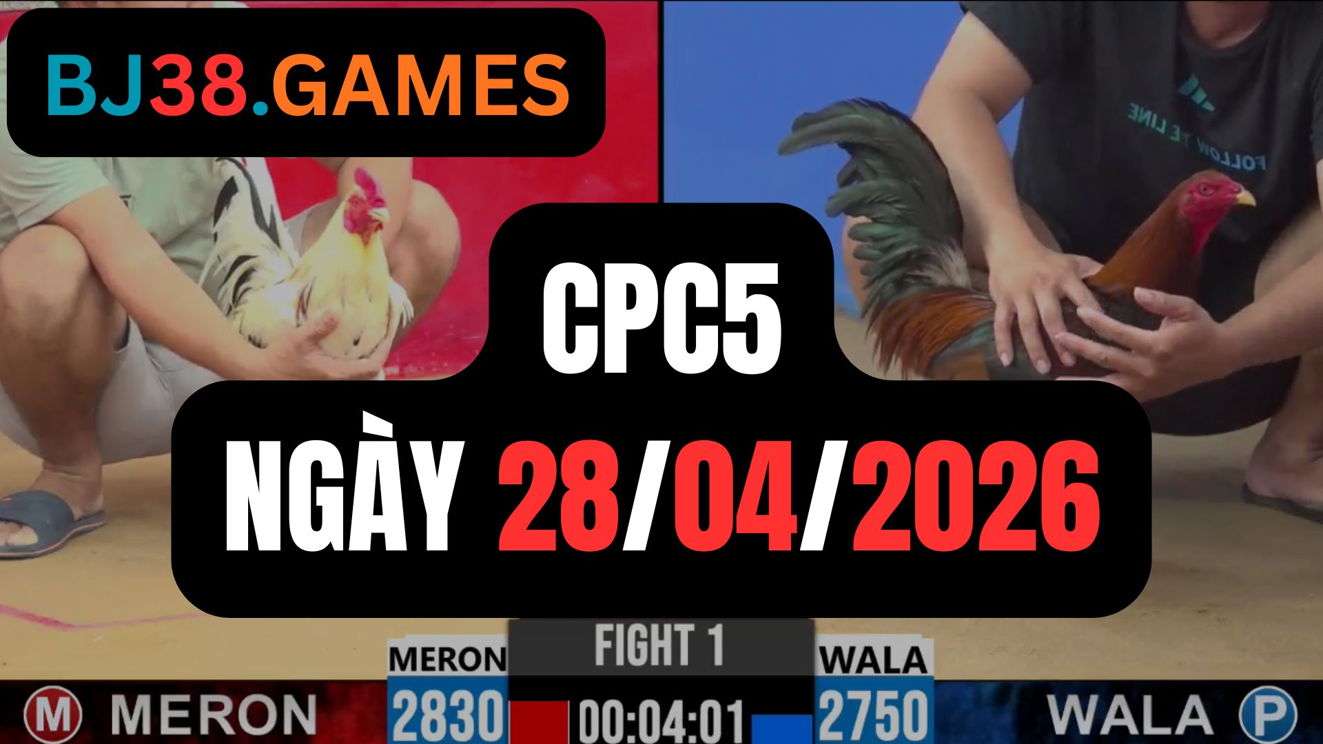 Đá gà thomo CPC5 ngày 28-04-2026