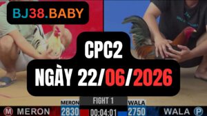 Đá gà thomo CPC2 ngày 22-06-2026