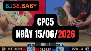 Đá gà thomo CPC5 ngày 15-06-2026