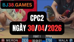 Đá gà thomo CPC2 ngày 30-04-2026