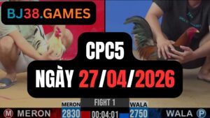 Đá gà thomo CPC5 ngày 27-04-2026