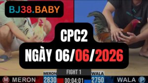 Đá gà thomo CPC2 ngày 06-06-2026