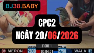 Đá gà thomo CPC2 ngày 20-06-2026