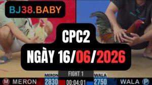 Đá gà thomo CPC2 ngày 16-06-2026