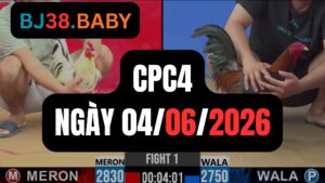 Đá gà thomo CPC4 ngày 04-06-2026