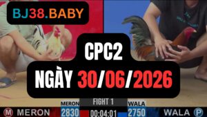 Đá gà thomo CPC2 ngày 30-06-2026