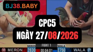 Video đá gà CPC5 Thomo hôm nay 27-08-2026